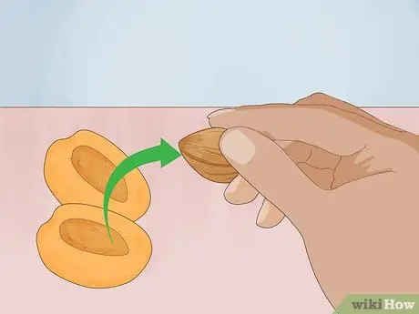 Съешьте семена абрикоса, шаг 6