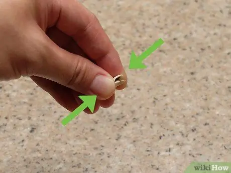 Скорлупа тыквенных семечек Шаг 7