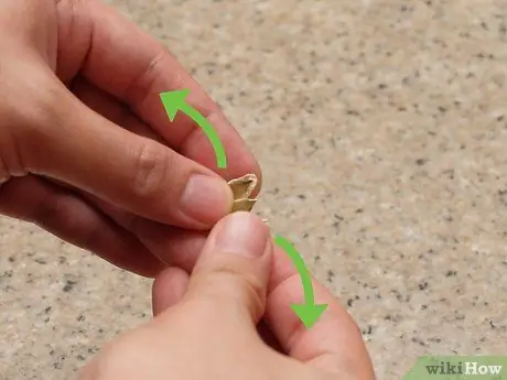 Скорлупа тыквенных семечек Шаг 8