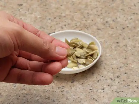 Скорлупа тыквенных семечек Шаг 9