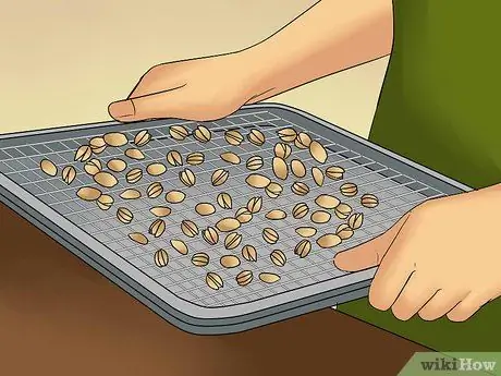 Жареные фисташки Шаг 3