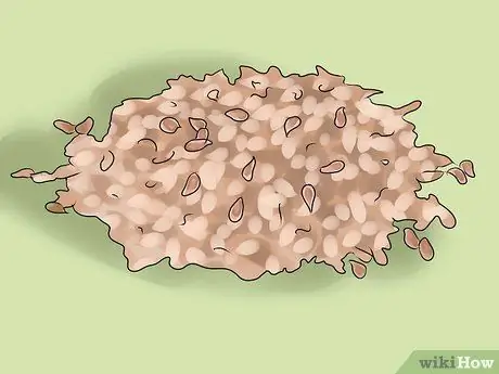 Ешьте семена льна, шаг 1