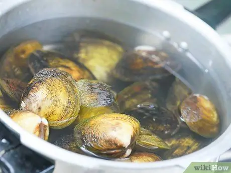 Паровые моллюски, шаг 2