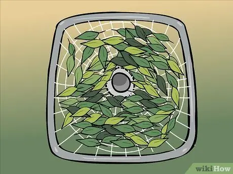 Сухие лавровые листья, шаг 12