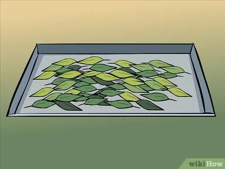 Сухие лавровые листья, шаг 6