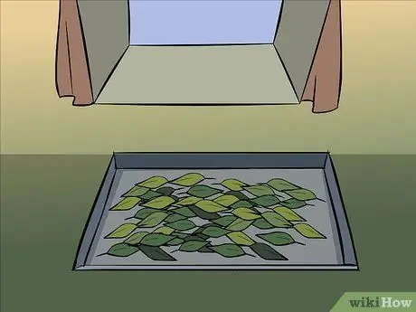 Сухие лавровые листья, шаг 7