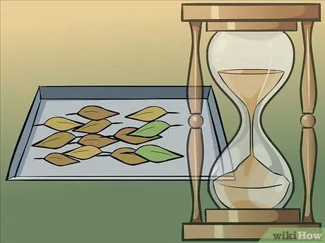 Сухие лавровые листья, шаг 8