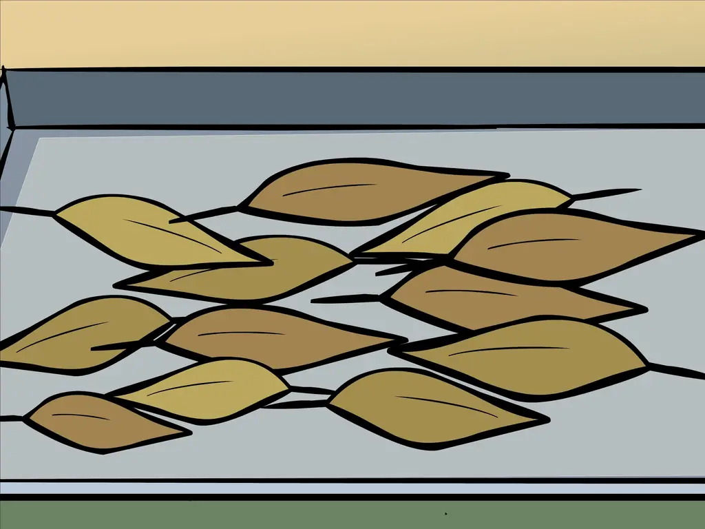 3 способа высушить лавровый лист