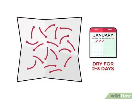 Выращивание шафрана Шаг 12