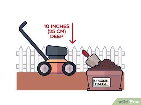 Выращивание шафрана, шаг 3