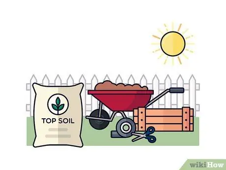 Выращивание шафрана, шаг 4