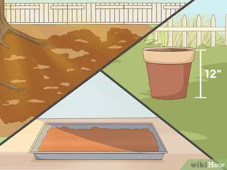 Выращивание пажитника, шаг 2