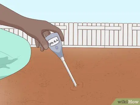 Выращивание пажитника, шаг 3