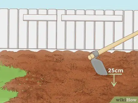 Выращивайте пажитник, шаг 5