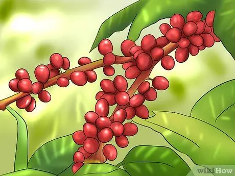 Распространение позитивности с помощью кофе, шаг 1