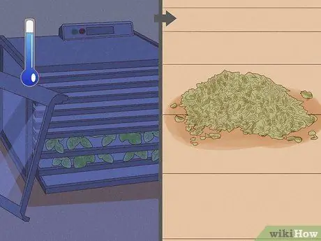 Сбор орегано Шаг 8