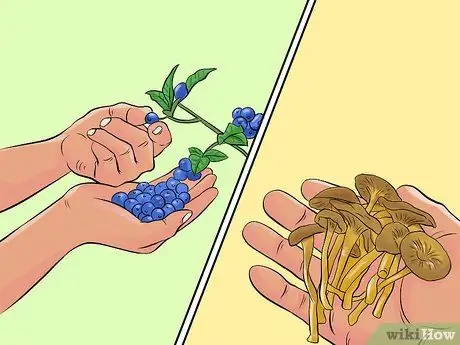 Живи за пределами Шаг 5