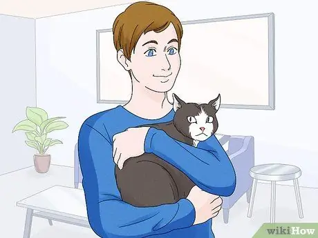 Путешествие по миру Шаг 7