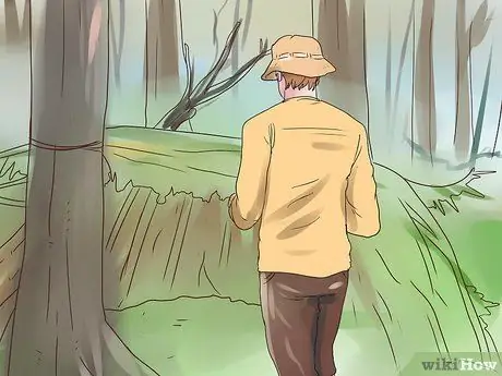 Выжить в лесу Шаг 13