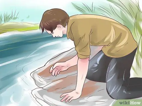 Выжить в лесу Шаг 11