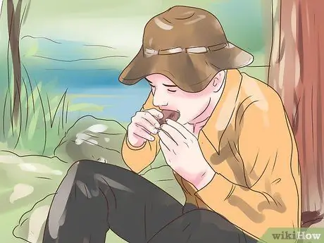 Выжить в лесу Шаг 14