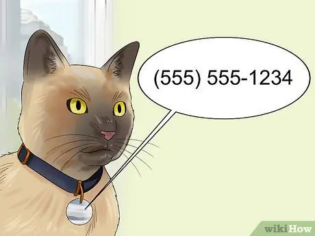 Двигайся кошкой Шаг 1