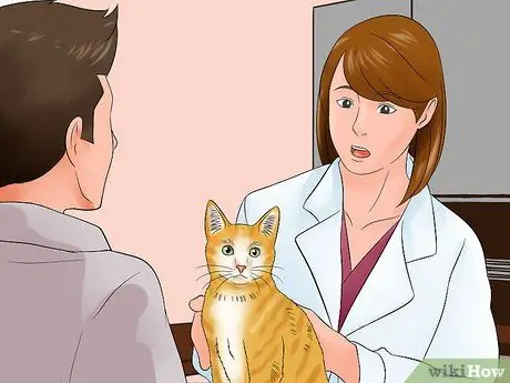 Двигайся кошкой Шаг 2