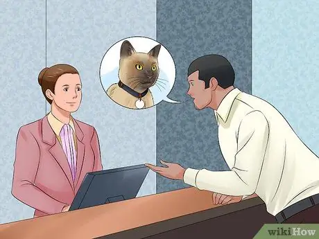 Двигайтесь вместе с кошкой Шаг 3