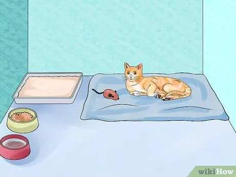 Двигайся кошкой Шаг 7