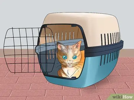 Двигайся кошкой Шаг 9