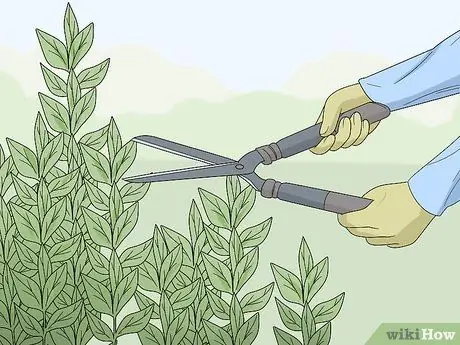 Разобраться со взломщиком, ворвавшимся в ваш дом Шаг 16