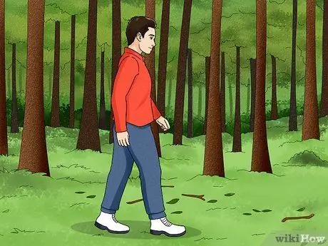 Спокойно гулять по лесу Шаг 3