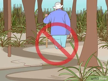 Прогулка по болоту Шаг 14