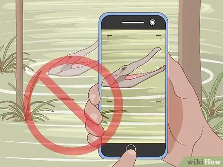 Прогулка по болоту Шаг 15