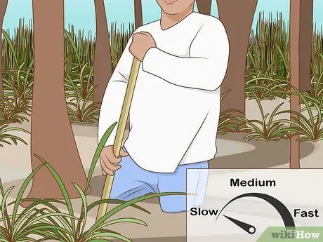 Прогулка по болоту Шаг 8