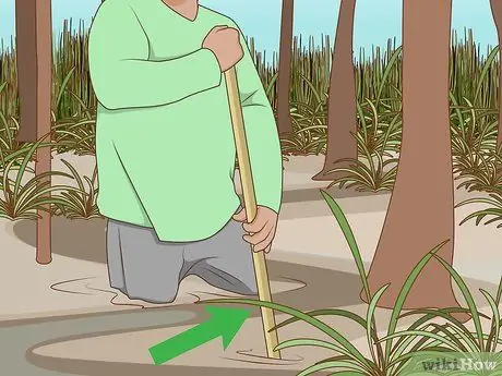 Прогулка по болоту Шаг 9