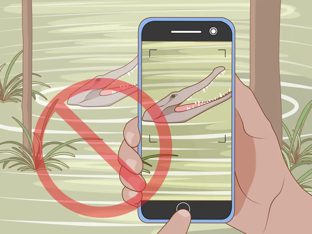 3 способа прогуляться по болоту