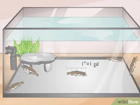 Знайте, сколько рыбы вы можете поместить в аквариум Шаг 1