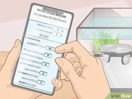 Знайте, сколько рыбы вы можете поместить в аквариум Шаг 7
