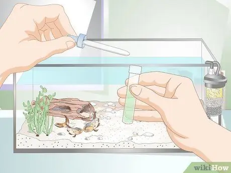 Снизьте уровень аммиака в аквариуме, если он не очень высокий Шаг 12