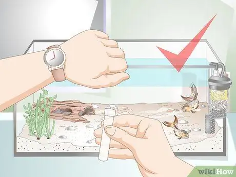 Снизьте уровень аммиака в аквариуме, если он не очень высокий Шаг 13