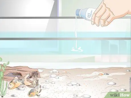 Понизьте уровень аммиака в аквариуме, если он не очень высокий Шаг 5