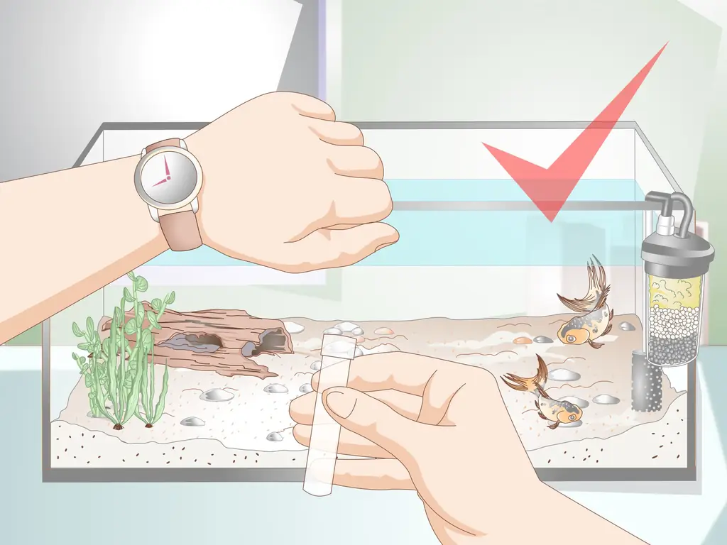 Как снизить уровень аммиака в аквариуме, если он не очень высокий