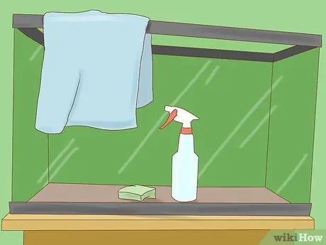 Избавьтесь от улиток в аквариуме, шаг 6