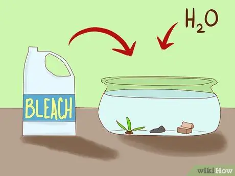 Избавьтесь от улиток в аквариуме, шаг 9