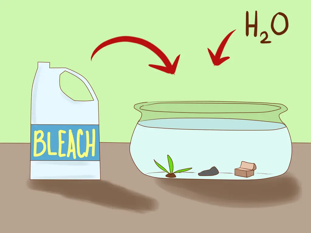 Как избавиться от улиток в аквариуме: 9 шагов (с иллюстрациями)