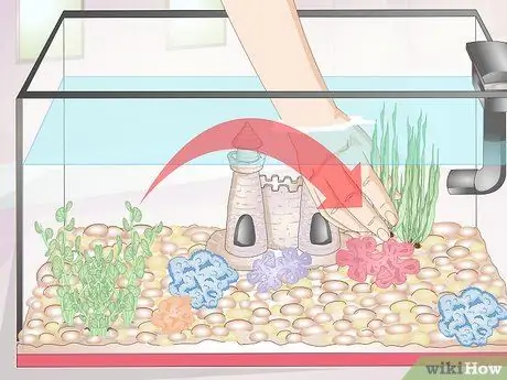 Очистите аквариумные украшения Шаг 14
