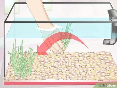 Очистка аквариумных украшений, шаг 2