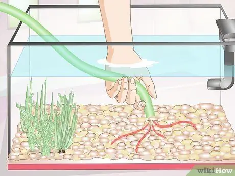 Очистка аквариумных украшений, шаг 3