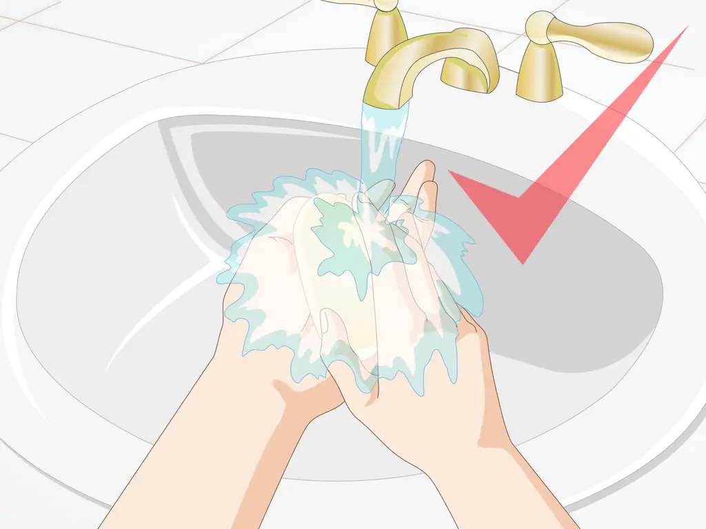 Как очистить аквариумные украшения: 15 шагов (с изображениями)